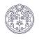 My Pura Vida Wellness Pvt. Ltd.
