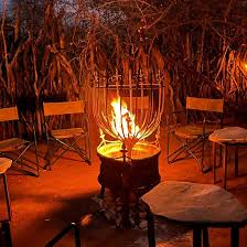 Image result for Mundulea