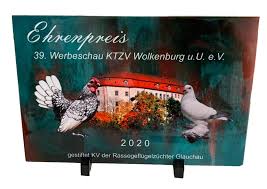 Neues verfahren brennt fotos auf fliesen. Ihr Vereinsausstatter Fliesen Bedruckt