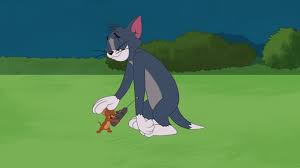 Drone Sweet Drone Tom And Jerry Wiki Fandom Tom And Jerry Show Tom And Jerry Drone