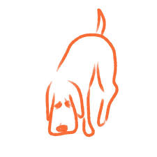 How To Draw A Dog For Kids Easily In 30 Seconds In 2020 Easy Drawings Easy Drawings For Kids Drawing For Kids