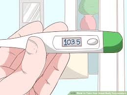 how to take your basal body temperature tips to chart it