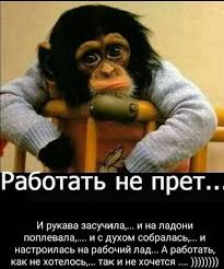 как же так получилось что ты в моем авто U Vas Sigarety Ne Budet Lyublyu Znaete Li Posle Seksa Pokurit Smehopanorama Mediaplatforma Mirtesen V 2020 G Veselye Obezyany Yumor Smeshnye Vyskazyvaniya