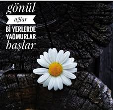 Melisa Sahin Adli Kullanicinin Papatya Gibisin Beyaz Ve Ince Ezilir Ruhum Seni Gorunce Panosundaki Pin Guzel Soz Ozlu Sozler Papatyalar