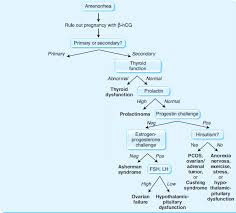 Image result for Progesterone Challenge Test