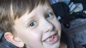 Fundraiser for Calum Taylor by Claire Taylor : A Puppy for Felix