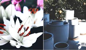 78 likes · 30 were here. Fruhlingserwachen Die Gartensaison Ist Eroffnet