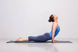 Daily Yoga Urdhva Mukha Svanasana Upward Facing Dog Pose Upward Facing Dog Upward Facing Dog Pose Yoga