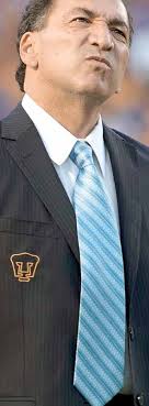 tigres, contra la pared