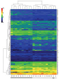 Drinking Water Arsenic Exposure Modulates Gene Expression In Human Lymphocytes From A U S Population Environmental Health Perspectives Vol 116 No 4