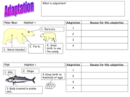 Camel adaptations behavioural adaptations structural adaptations camels have learned to face the sun while lying down, causing less of the body exposed. Adaptation Worksheet Polar Bear Fish And Cactus Teaching Resources