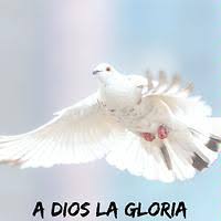 Musica cristiana para sentir la presencia de dios hermosas alabanzas cristianas de adoracion 2021. Yo Te Extranare Mp3 Song Download Yo Te Extranare Song By Tercer Cielo A Dios La Gloria Songs 2020 Hungama