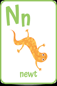 Alphabet index here is the collection of words beginning with n. Words That Start With The Letter N Kids Activities Blog