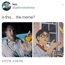 The Adventures Of Doctor Strange And The Butterfly Marvel Memes Marvel Funny Funny Memes