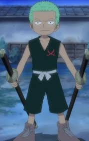 Zoro wano kuni pieces facts anime wallpaper anime. Roronoa Zoro Gallery One Piece Wiki Fandom