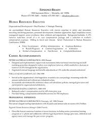 Hr Executive Resume Example