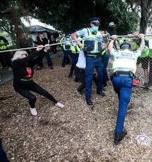 Letters: Tree destruction, footpaths, Australian 'trash' and the Haka Party 