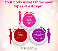It's important to note that estrogenic foods that are recommended to women going through menopause are fresh produce also contains vitamins and minerals that improve your skin. 12 Tips To Balance Estrogen Levels Naturally Drjockers Com