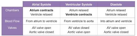 Cardiac Cycle Bioninja