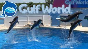 A gulf is a large inlet from the ocean into the landmass, typically with a narrower opening than a bay, but that is not observable in all geographic areas so named. Gulf World Panama City Beach Tour Review With The Legend Youtube