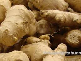 Maybe you would like to learn more about one of these? Kandungan Gizi Akar Teratai Dan Manfaat Akar Teratai Bagi Kesehatan