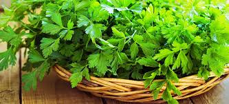 parsley leaves manufacturer in chennai tamil nadu india by andrias business network id 5013537 parsley leaves