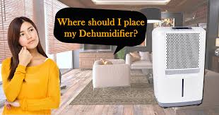 Basement dehumidifiers are an excellent idea for removing excess moisture from the air. Where Should I Place My Dehumidifier Basement Whole House