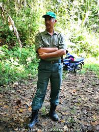 Renjer hutan gred g19 / jawatan kosong sebagai pegawai bomba gred kb19 portal pengiklanan iklan jawatan kosong spa : Renjer Hutan