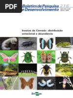 Image result for Eriocaulon angustibracteatum