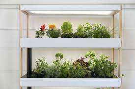 Smart Indoor Gardening Systems By Rise Gardens Indoor Hydroponic Gardening Herb Garden Pallet Indoor Gardening Systems
