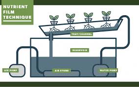 Nft system involves using a tube or. How Nutrient Film Technique Nft Hydroponic Systems Work Pure Greens Custom Container Farms