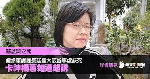 楊蕙如於大學時期曾背負超過新台幣十萬的卡債淪為卡奴，但畢業後因為利用信用卡八倍紅利回饋、網路拍賣、電視購物 禮券優惠，從中國信託商業銀行倒賺一筆，因而引起爭議 ，更被媒體封為「卡神」 。 除了卡奴外，根據民調，包括消基會、行政院消費者保護委員會、檢察官及多數民眾. è˜‹æžœå³æ™‚æ–°èž æœ€æ–°å¡ç¥žä½  å¡ç¥ž æ¥Šè•™å¦‚ è˜‡å•Ÿèª  ç¶²è» è¬é•·å»· å¤§é˜ªè¾¦äº‹è™• Facebook