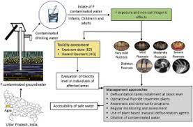 Human Health Risk Assessment Study Of A Population Exposed To Fluoride Through Groundwater Of Agra City India Sciencedirect