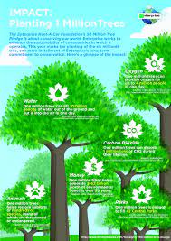Enterprise 50 Million Tree Pledge Enterprise Rent A Car Enterprise Trees To Plant