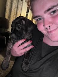 Newborn puppy collar size recommendations