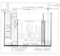 Click This Image To Show The Full Size Version Aquarium Sump Saltwater Tank Setup Marine Aquarium