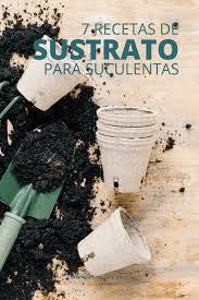 0 ratings0% found this document useful (0 votes). 7 Recetas De Sustrato Casero Para Suculentas Y Cactus Suculentas Propagacion De Plantas Suculentas Cultivo De Suculentas