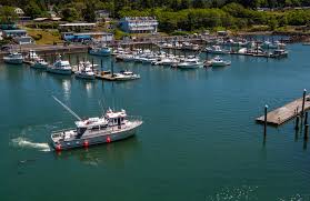 The Oregon Coast's Most Surprising Places - Travel Oregon