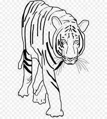 Download free disney png tiger clipart image with transparent background, it about cartoon gallery, enjoy with best high quality disney png tiger clipart. Black Line Background Clipart Wildlife Tiger White Transparent Clip Art