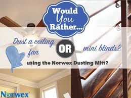 Dusting Mitt – Norwex
