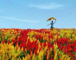 Pin On 10 Most Visited Places In Cebu