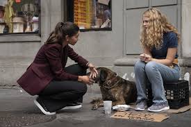 Law and order svu what can happen in the dark plot synopsis and air date. Law Order Special Victims Unit The Burden Of Our Choices Tv Episode 2019 Imdb