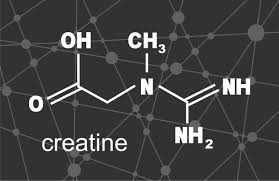 Should I Use Creatine? — Meat Free Fitness