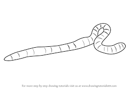 Step by step drawing tutorial on how. Learn How To Draw An Earthworm Worms Step By Step Drawing Tutorials