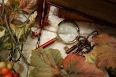 The Science of Sleuthing