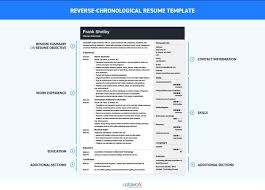 Chronological Resume Template Format Examples