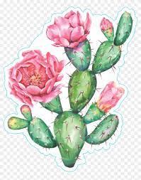 Browse this featured selection from the web for use in websites, blogs, social media and your other products. Watercolor Cactus With Beautiful Pink Flowers Sticker Watercolor Cactus Pink Flowers Hd Png Download 980x1200 5902755 Pngfind
