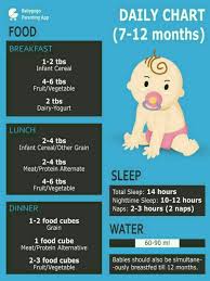 10 Month Old Baby Food Chart