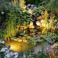 7.87402 l x 5.511814 w x 1.3779535 h. Gartenteich Anlegen Bepflanzen Und Pflegen Praktische Tipps Living At Home