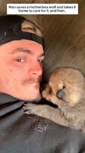 ⚡ Send your own stories to feature #wolf #wolfs #teenwolf #wolfpack  #wolfshead #bondedtails #instagram #love #trending #fyp #animallover  #animalrescue #bond #animallovers #pet #petstory z